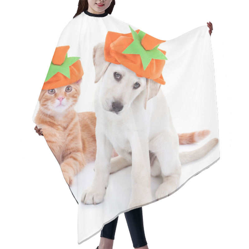 Personality  Thanksgiving Halloween Pumpkin Costume Pets Dog And Cat Hair Cutting Cape