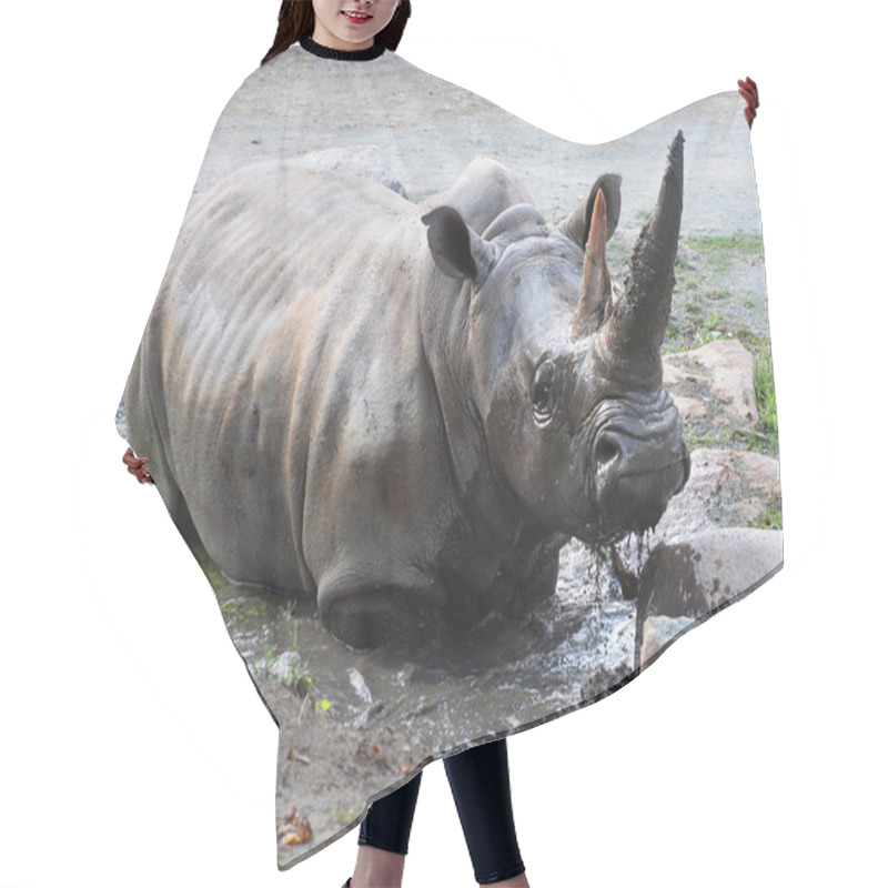 Personality  The Black Rhinoceros Hair Cutting Cape