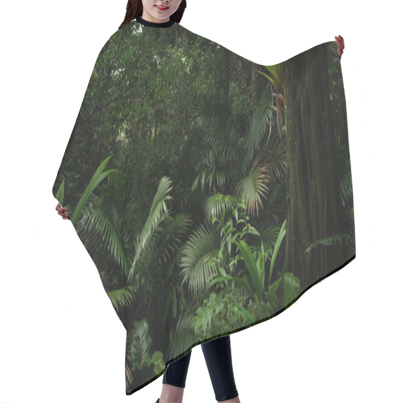 Personality  Tropical Rainforest In Costa Rica Hair Cutting Cape