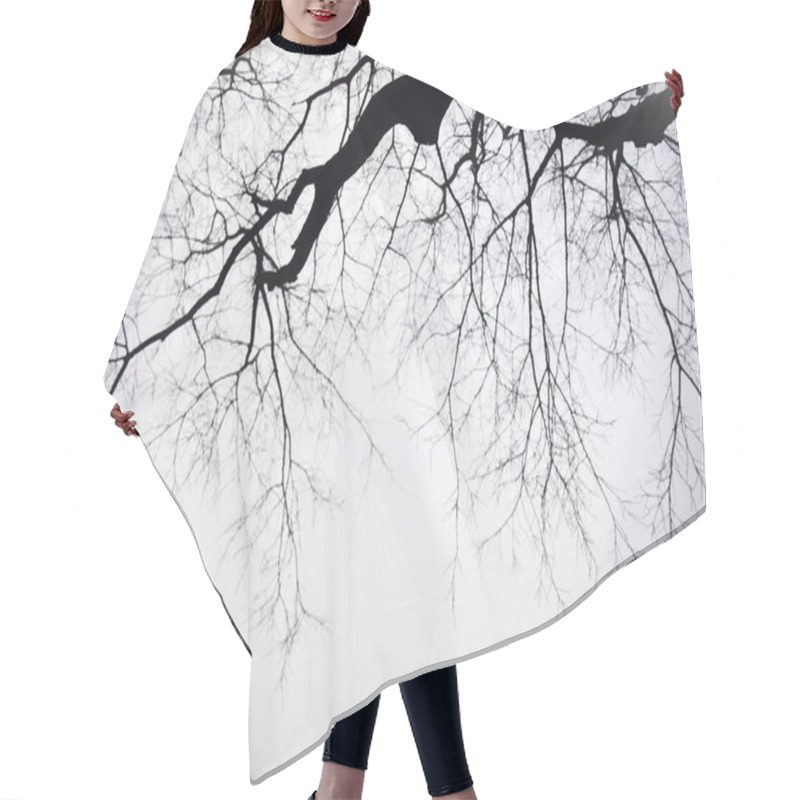 Personality  View At Trees In The Foggy Winter Day Hair Cutting Cape