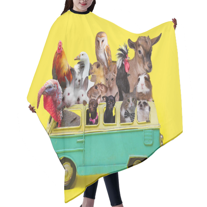 Personality  Funny Collage, Concept Animals In The Retro Toy Car, Summer Vacations Hair Cutting Cape