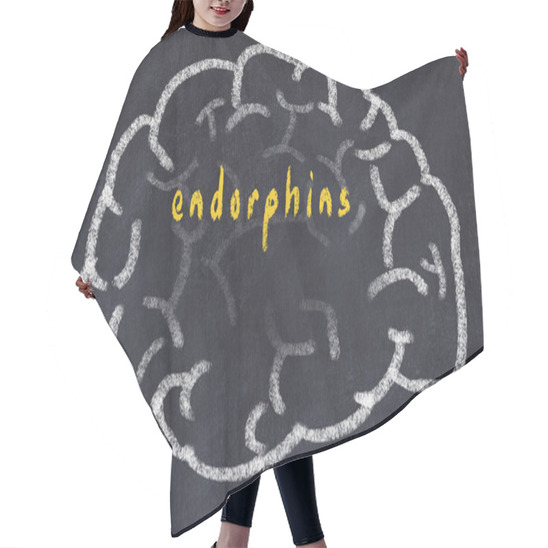 Personality  Drawind Of Human Brain On Chalkboard With Inscription Endorphins Hair Cutting Cape