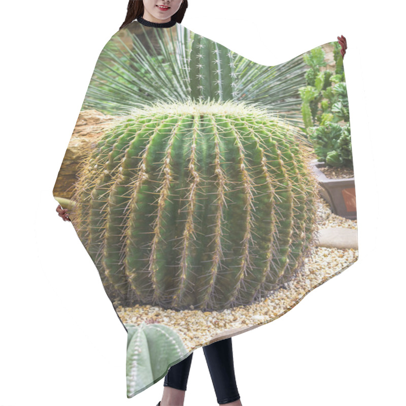 Personality  Cactus Plant Hair Cutting Cape