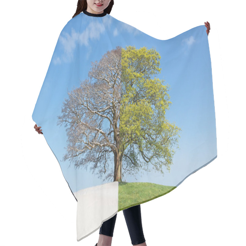 Personality  Collage Tree Winter Vs. Summer Hair Cutting Cape