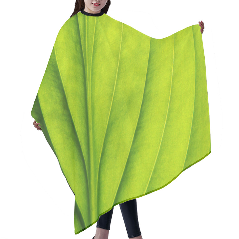 Personality  Leaf Background Hair Cutting Cape