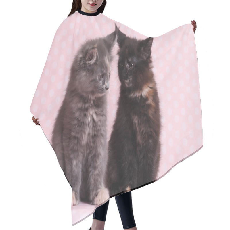 Personality  Cute Maine Coon Kitten Hair Cutting Cape