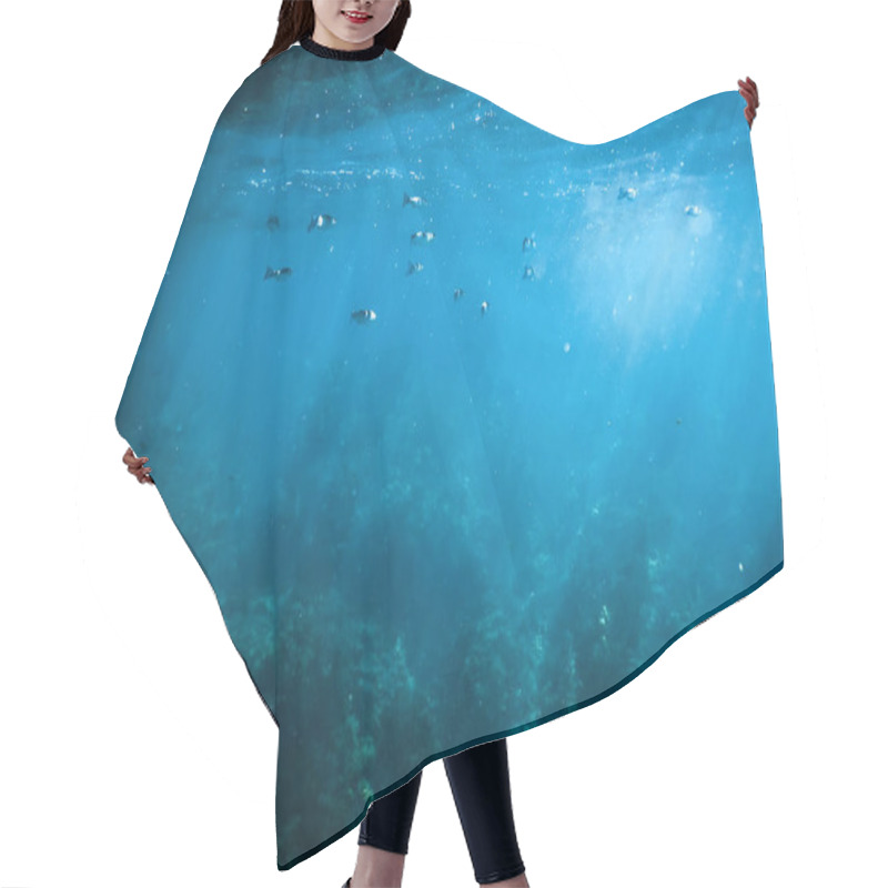 Personality  Dark Water, Rays Of The Sun Through The Water, The Underwater World, Dark Sea Background Hair Cutting Cape