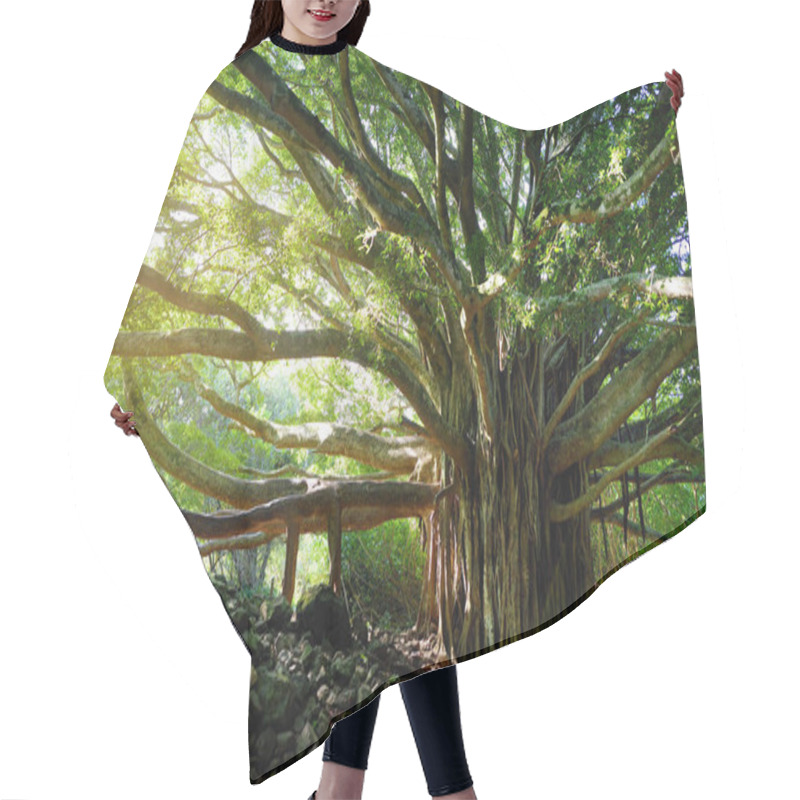 Personality  Big Banyan Tree Hair Cutting Cape