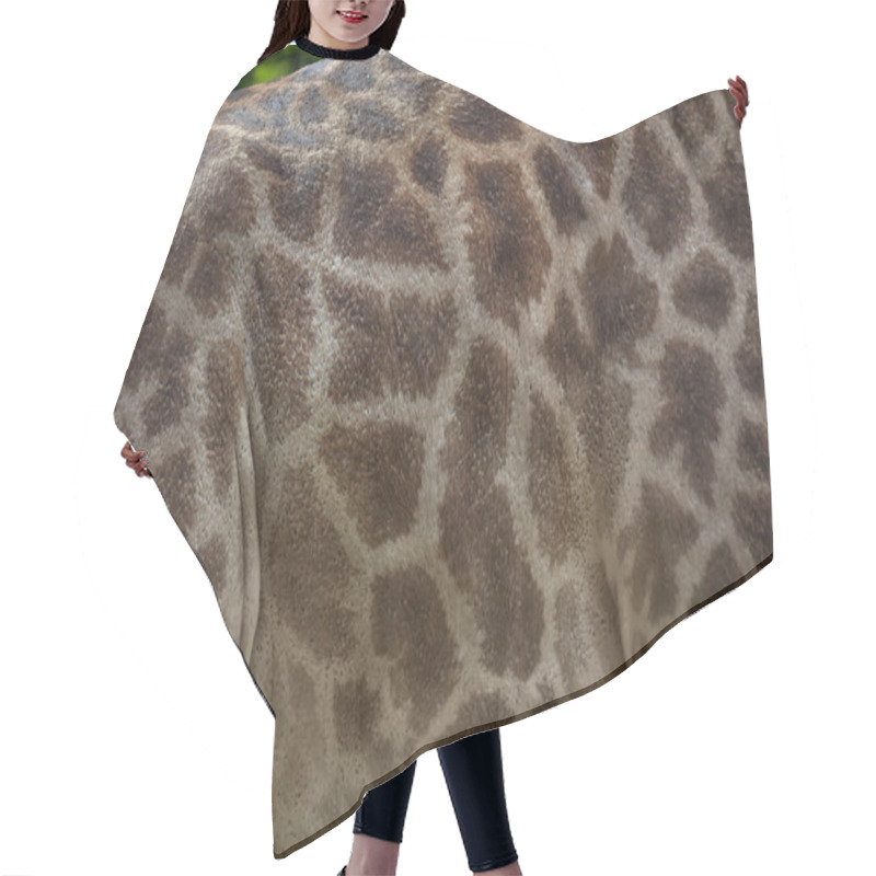 Personality  Side View Of A Giraffe Body. Hair Cutting Cape