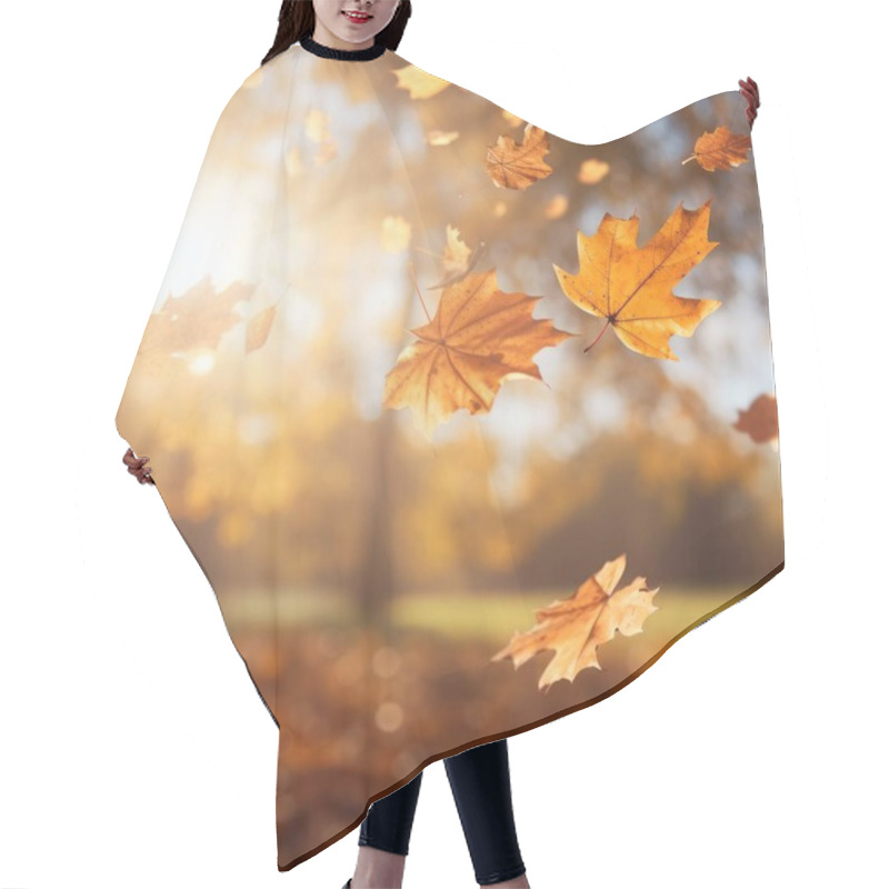 Personality  Lovely Closeup Of Falling Autumn Leaves With Vibrant Back Light From The Setting Sun Hair Cutting Cape