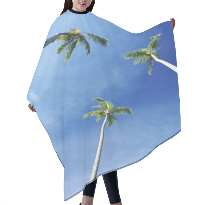 Personality  Exotic Coconut Palm Trees On The Beach Hair Cutting Cape