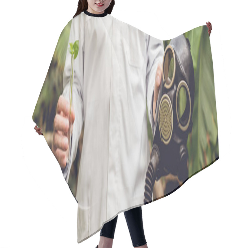 Personality  Cropped View Of Scientist In White Coat Holding Rubber Gas Mask And Flask With Plant Sample In Orangery Hair Cutting Cape