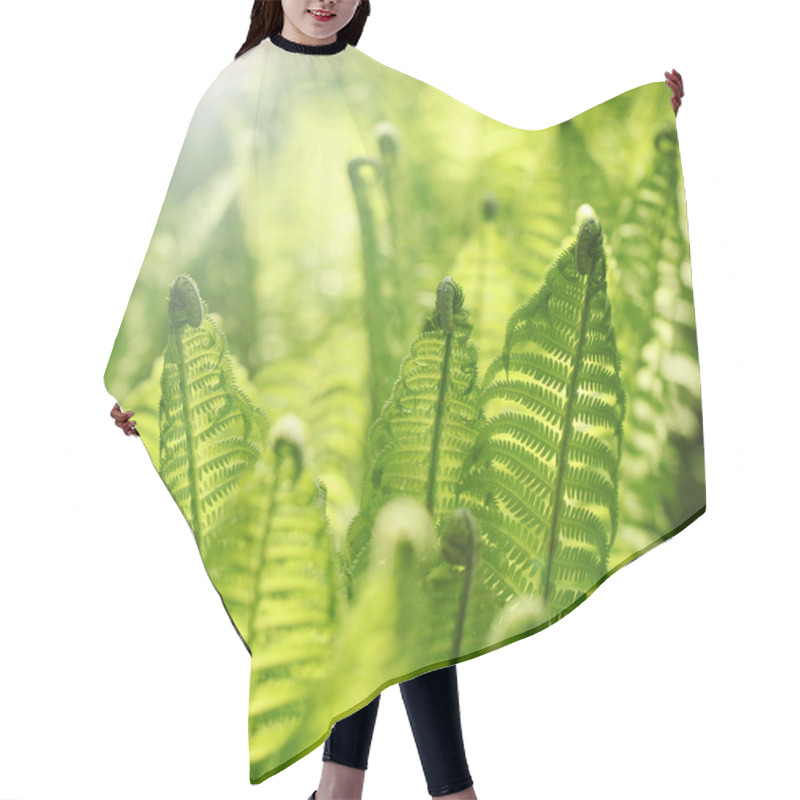 Personality  Young Fern Leaves Hair Cutting Cape