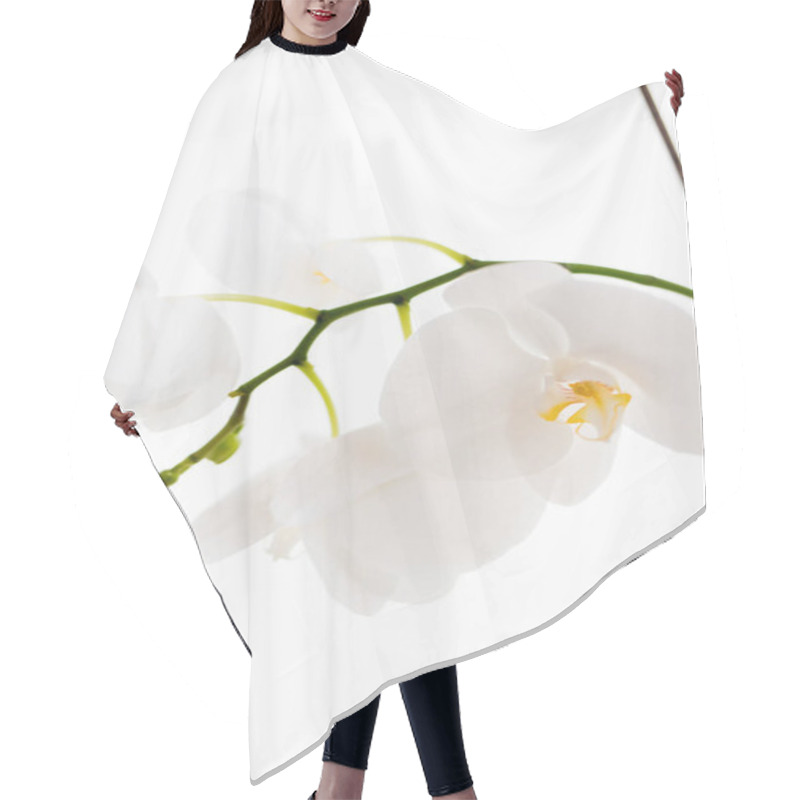 Personality  Orchids On A White Background. White And Purple Hair Cutting Cape