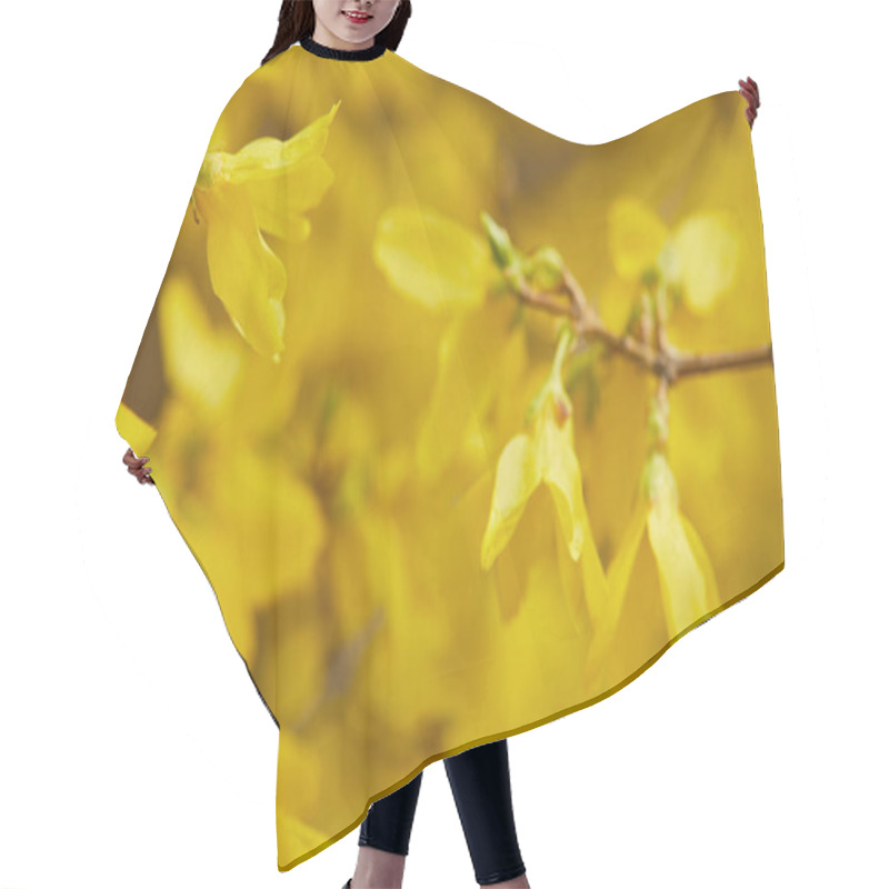 Personality  Close Up Of Yellow Blossoming Flowers With Big Petals On Tree Branches Hair Cutting Cape