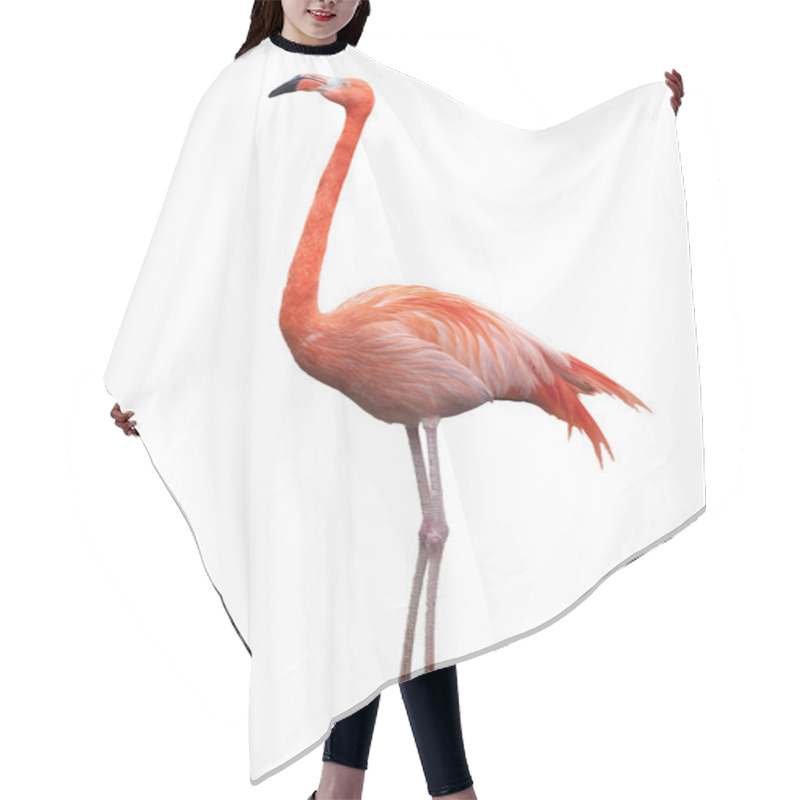 Personality  American Flamingo Hair Cutting Cape