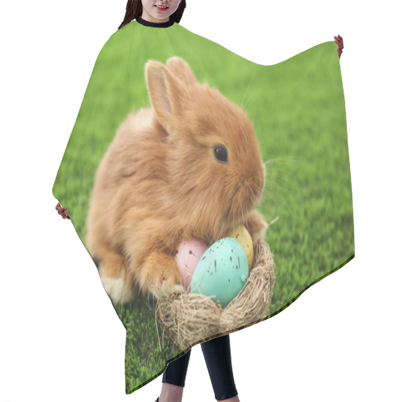 Personality  Adorable Fluffy Bunny And Decorative Nest With Easter Eggs On Green Grass Hair Cutting Cape