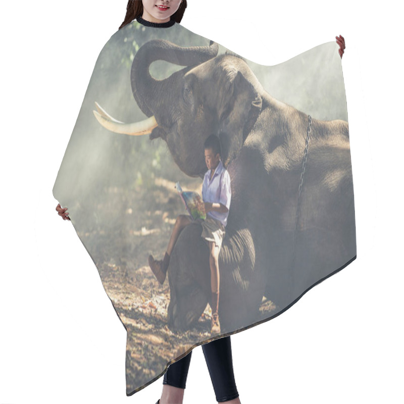 Personality  School Boy Studying In The Jungle With His Friend Elephant Hair Cutting Cape