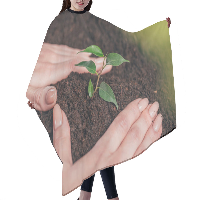 Personality  Selective Focus Of Woman Planting Young Green Plant On Blurred Background, Earth Day Concept Hair Cutting Cape