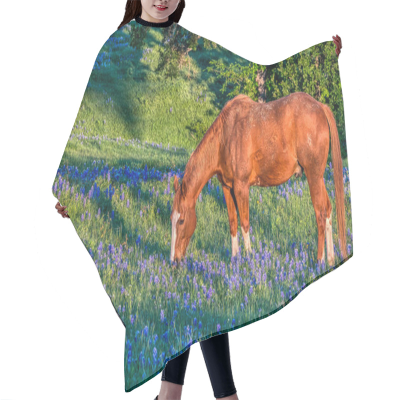 Personality  Horse With Bluebonnets Near San Antonio, Texas Hair Cutting Cape