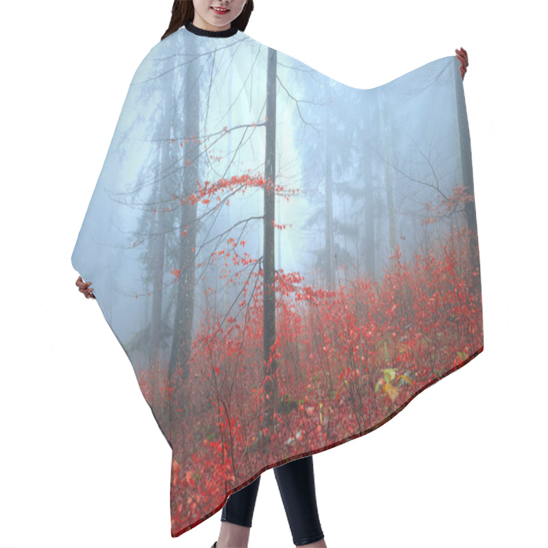 Personality  Beautiful Autumn Red Coloured Tree Leaves In Foggy Forest Hair Cutting Cape