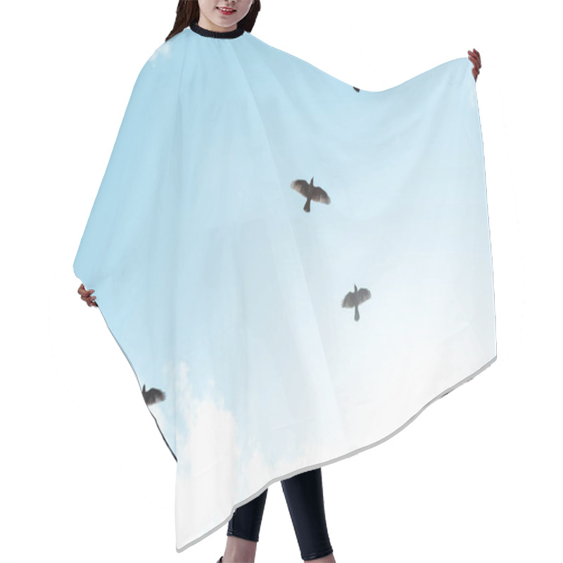 Personality  Black Birds Flying Against Blue Sky With White Clouds  Hair Cutting Cape