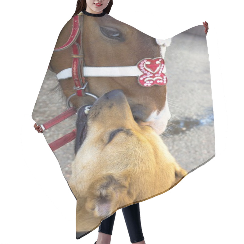 Personality  Kiss Horses And Dogs Hair Cutting Cape