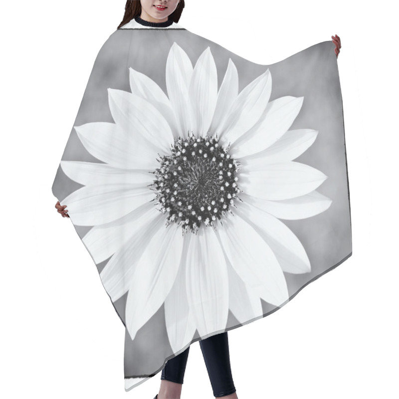 Personality  Wild Sunflower In Black And White Hair Cutting Cape