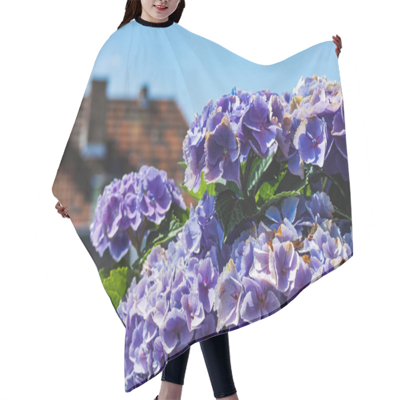 Personality  Bunch Of Beautiful Lilac Flowers Closeup With Blue Sky In Backgr Hair Cutting Cape