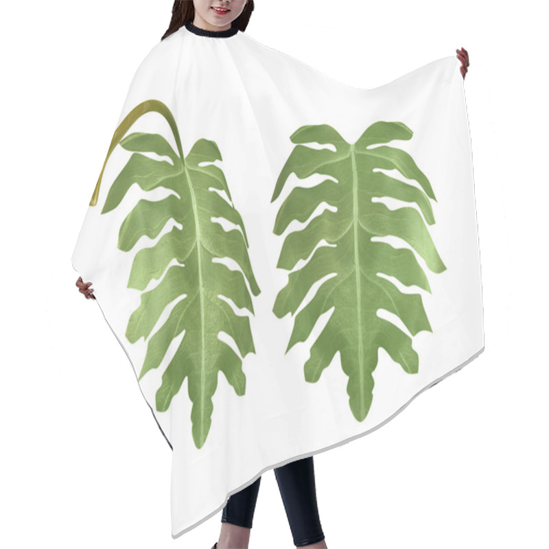 Personality  Tropical Plant Hair Cutting Cape