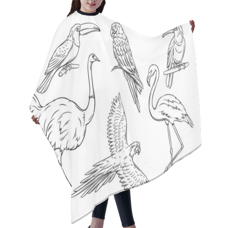 Personality  Exotic Birds, Hand Drawn Outline. Parrot, Flamingo, Ostrich And Toucan. Cartoon Iluustration For Summer Tropical Paradise Advertising Vacation Design. Retro Style. Hair Cutting Cape