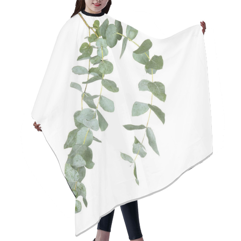 Personality  Green Eucalyptus Branch Hair Cutting Cape