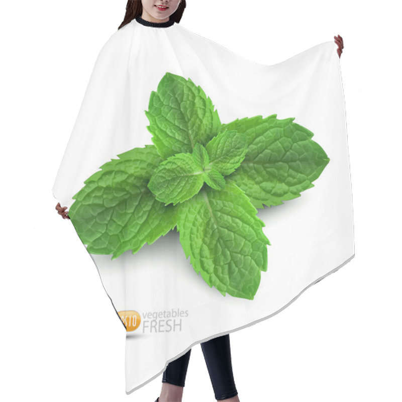 Personality  Vector Fresh Mint Leaves On A White Background Hair Cutting Cape