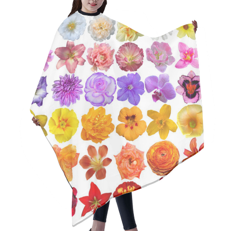 Personality  Big Selection Of Various Flowers Isolated On White Background Hair Cutting Cape