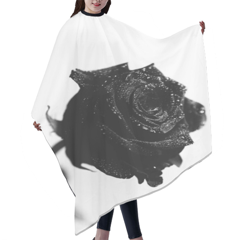 Personality  Black And White Photo Of A Blooming Black Velvet Rose On A White Background. Plant Close-up, Art Photo Of A Rose. Very Beautiful Still Life Of A Feminine Flower Hair Cutting Cape