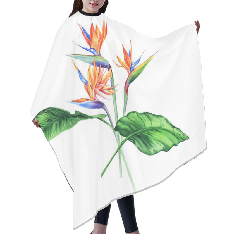 Personality  Watercolor Bouquets With Tropical Plants, Leaves And Strelitzia Flowers. Great For Valentines, Wedding Invites, Hawaii Birthday And Beach Party Hair Cutting Cape