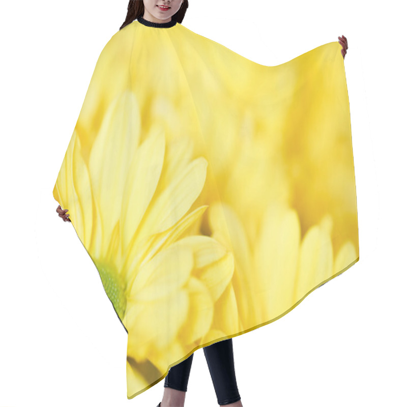 Personality  Flowers Background Hair Cutting Cape