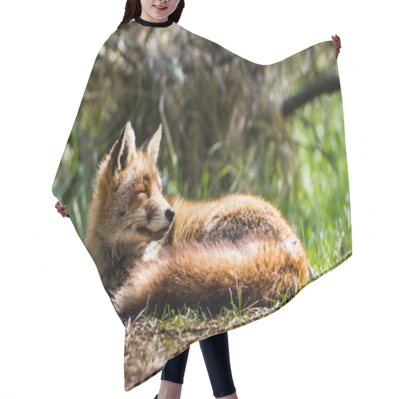 Personality  Fox Head Hair Cutting Cape