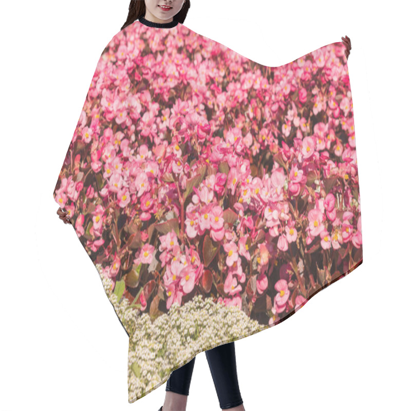 Personality  Pink Wax Begonia Flowerbed Hair Cutting Cape