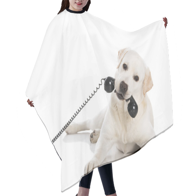 Personality  Labrador Answering A Call Hair Cutting Cape