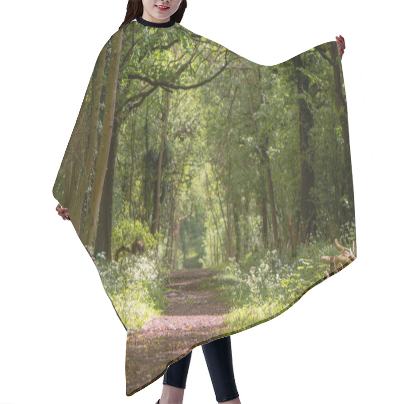 Personality  Path Through British Ancient Woodland With Dappled Sunlight Hair Cutting Cape