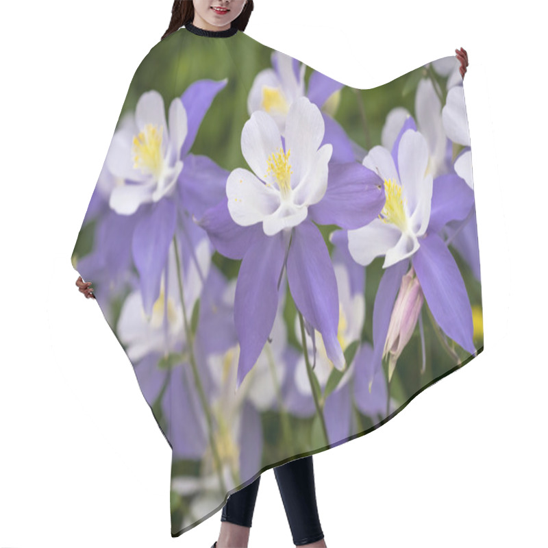 Personality  Blooming Blue Columbine Wildflower Hair Cutting Cape