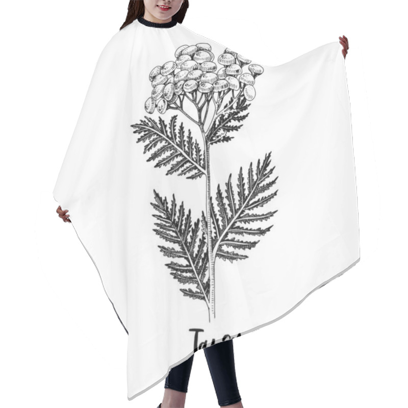 Personality  Branch Of Tansy. Medicinal Herb Hair Cutting Cape