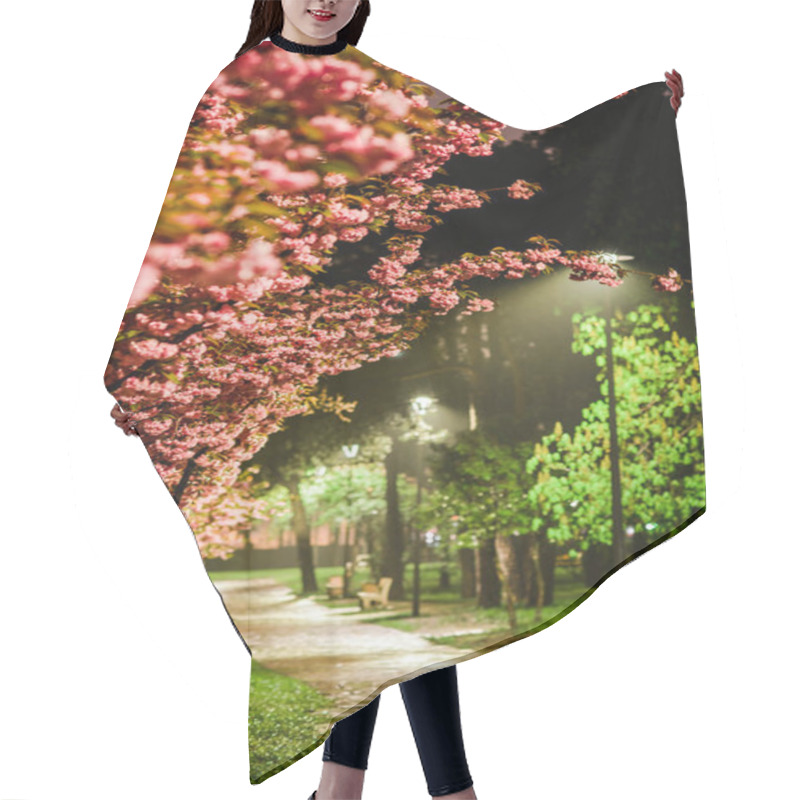 Personality  Rose Cherry Blossom Park On Spring Rainy Evening, Street Lights Hair Cutting Cape