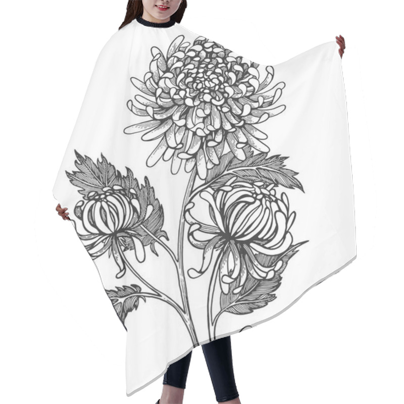 Personality  Engraved Hand Drawn Illustrations Of Chrysanthemum. All Element Isolated. Design Elements For Wedding Invitations, Greeting Cards, Wrapping Paper, Cosmetics Packaging, Labels, Tags, Quotes, Posters. Hair Cutting Cape