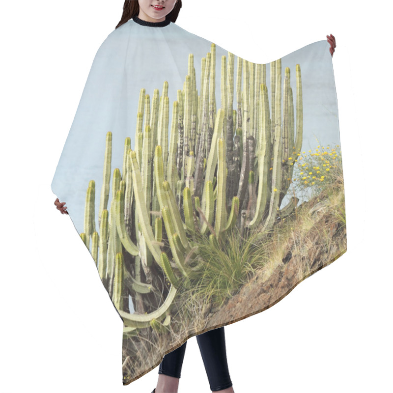 Personality  Succulent  On Steep Cliff Hair Cutting Cape