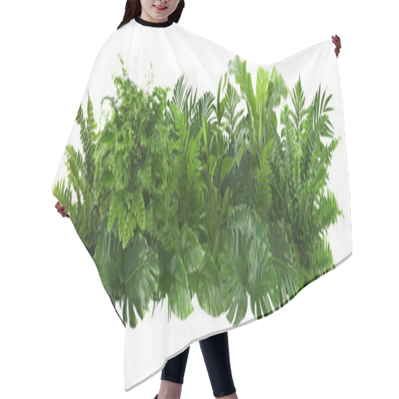 Personality  Beautiful Composition With Fern And Other Tropical Leaves On White Background. Banner Design Hair Cutting Cape