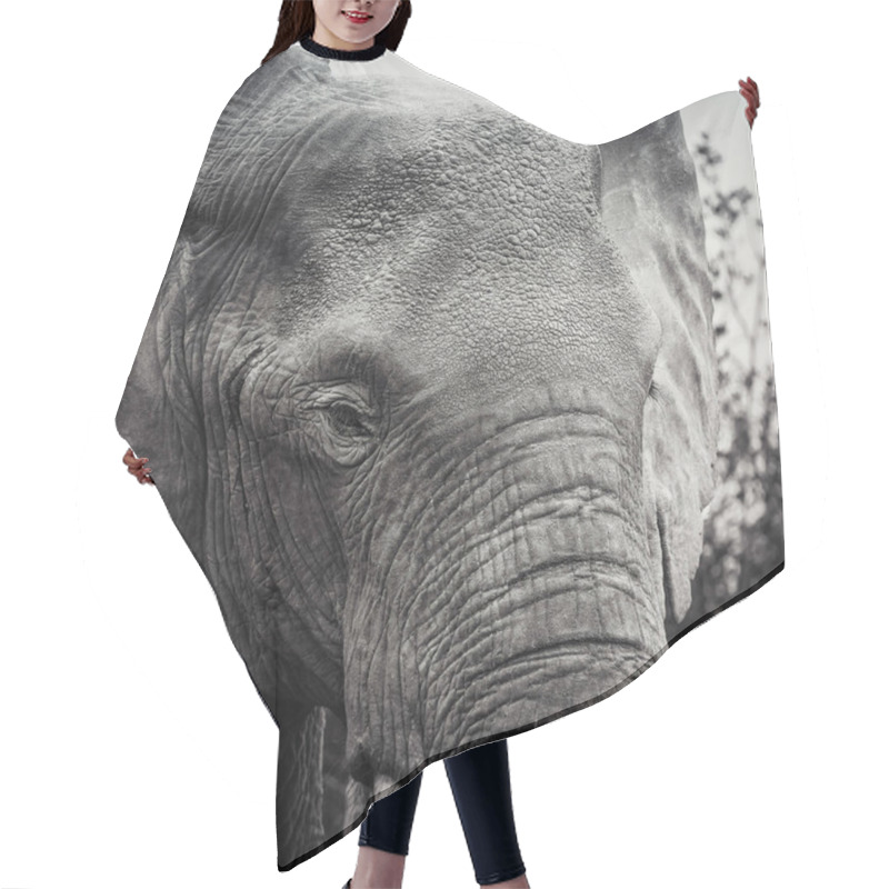 Personality  Elephant Black And White In Uganda Hair Cutting Cape