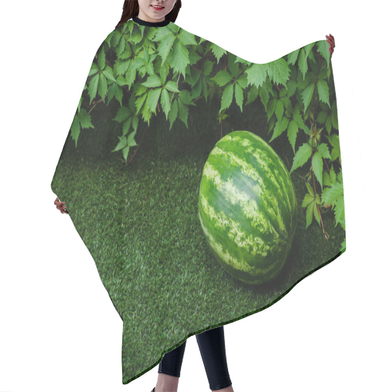 Personality  Summer And Fresh Watermelon Theme: Beautiful Ripe Watermelon Lying On The Grass Hair Cutting Cape