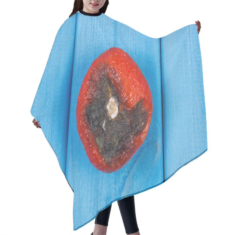 Personality  Old Wrinkled Tomato With Mold On Blue Boards Hair Cutting Cape